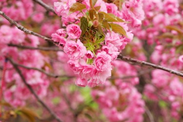 苏州虎丘区线下个人借款平台一站式服务，轻松解决资金难题