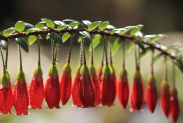 苏州虎丘区零用贷短借：轻松解决临时资金需求