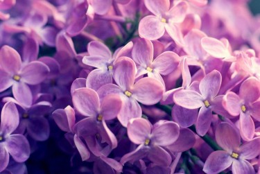 苏州虎丘区企业急用钱贷款攻略：快速融资解燃眉之急